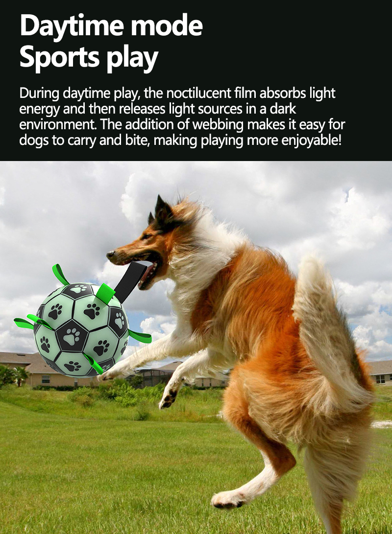 Pet Light Up Soccer Toy Outdoor Interactive Puppy Toy Soccer Ball