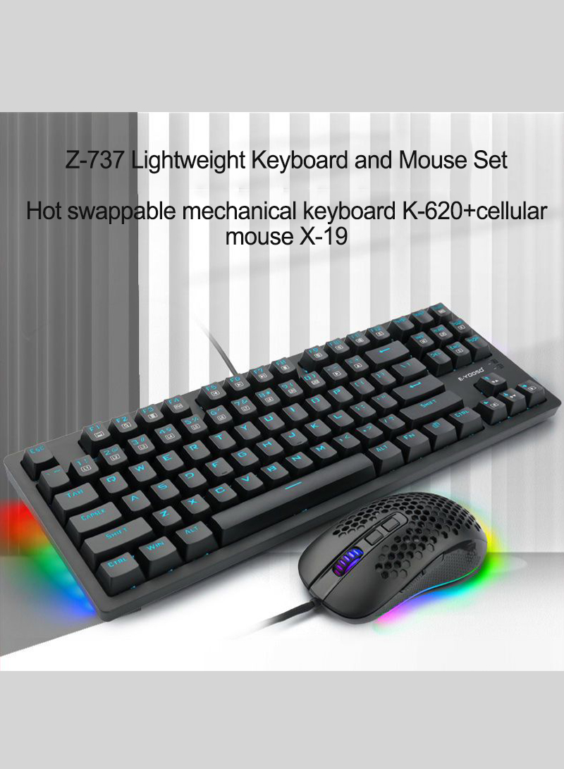 Z-737 RGB Mechanical Gaming Keyboard Black-Blue Switch and RGB Gaimg Mouse set