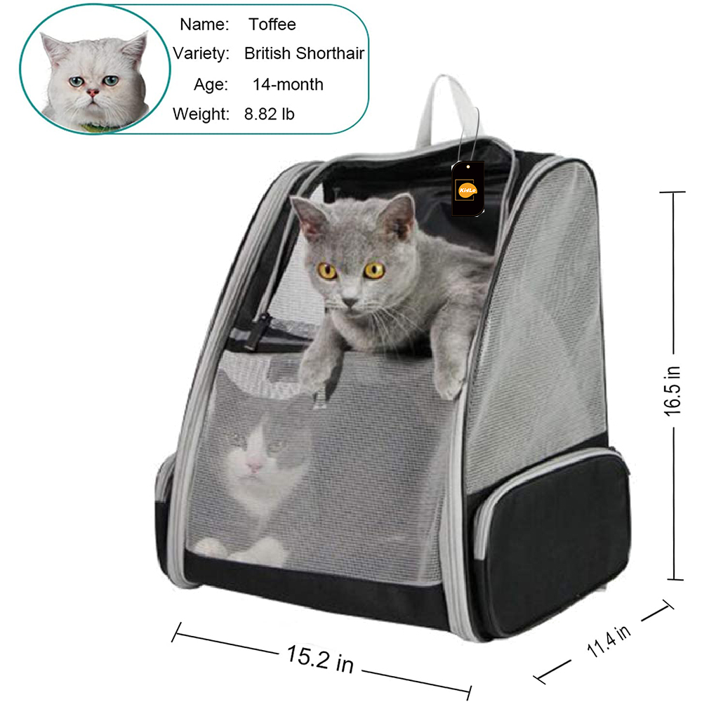 Upgraded Small Cat And Dog Backpack, Ventilation Design, Foldable Hiking Pet Bag