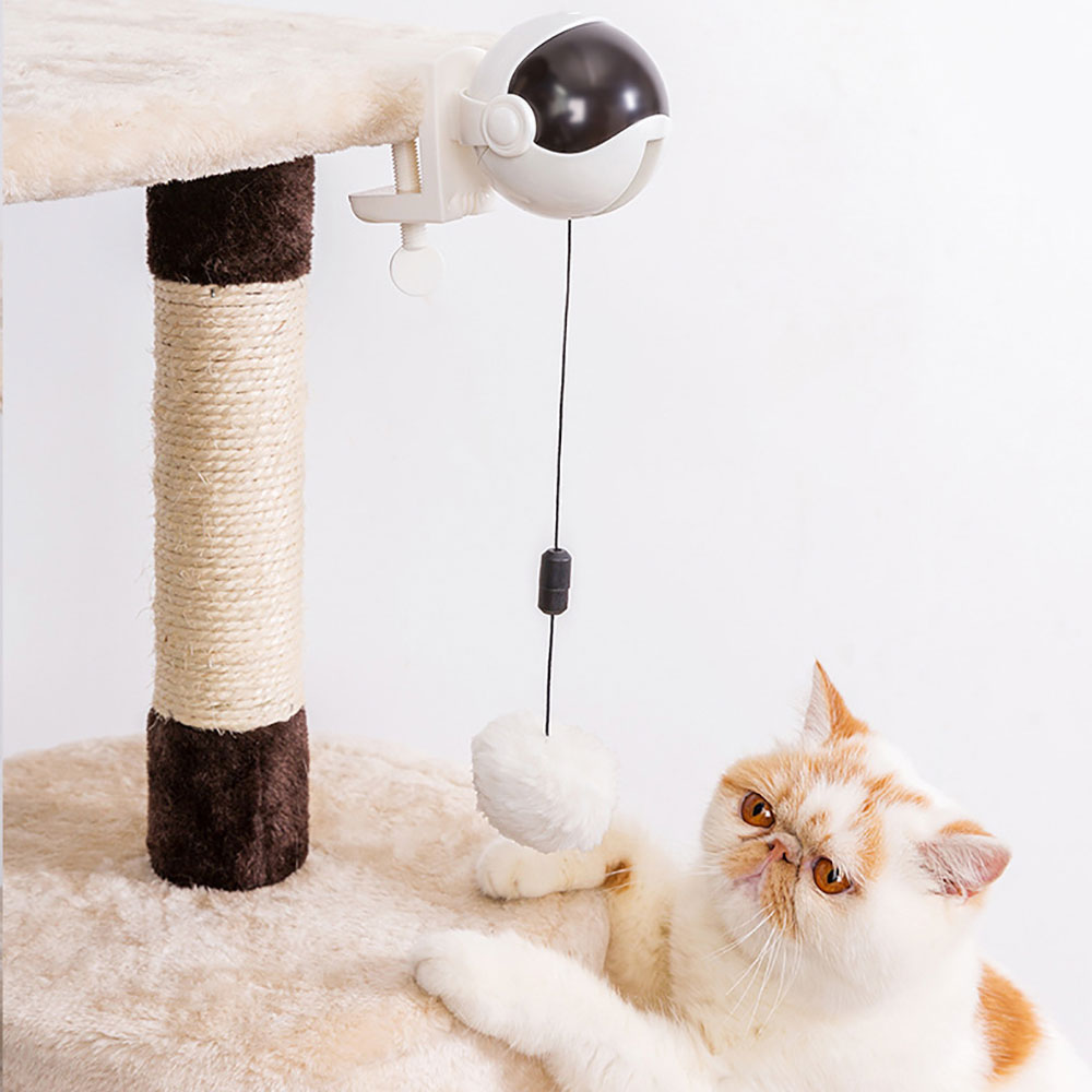 Cat Queen Mother Funny Cat Ball Automatic Lifting Toy Electric Funny Cat Toy Toy Self Hi Toy
