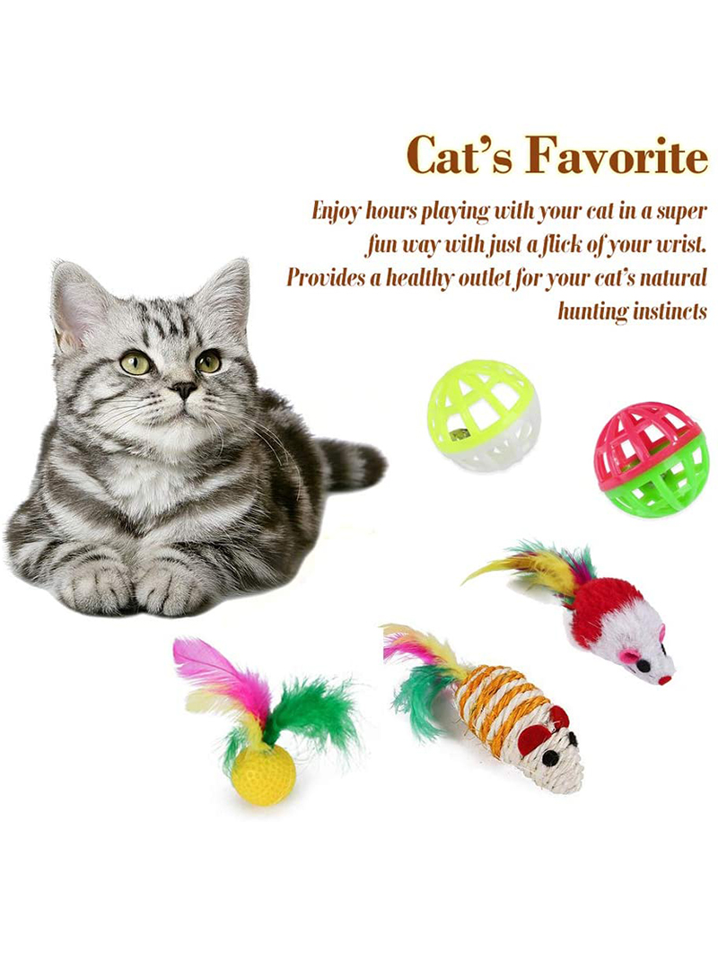 21 Piece Cat Toy Set