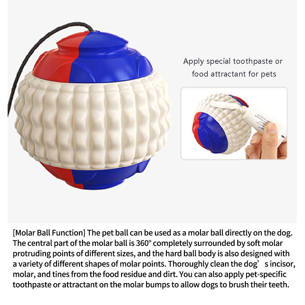Pet Toy Dog Toy The New Explosive Model Molars Teeth Resistant To Biting The Ball Throws The Toy Ball