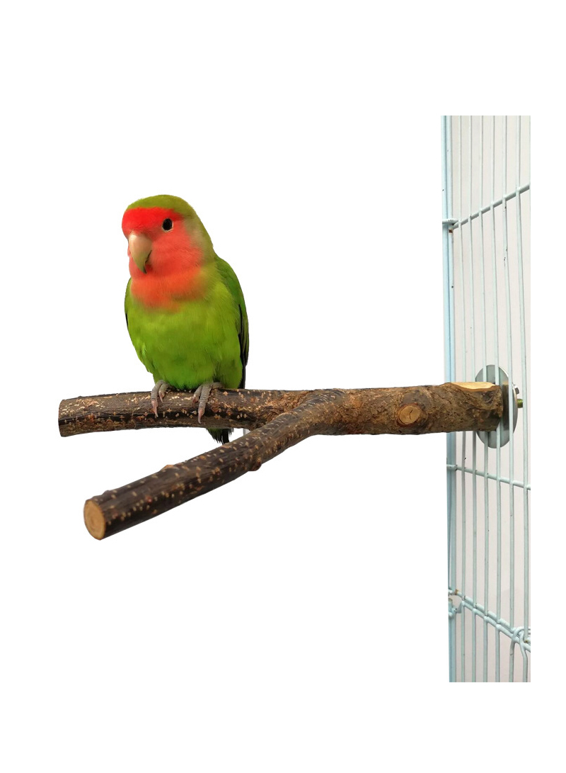 Bird Grinding Claw Stick Parrot Bird Supplies Tooth Grinding Stick Tree Branch Stick Station Bar Scrub