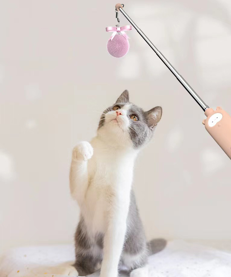 Infrared Laser Double Head Cat Teaser Stick