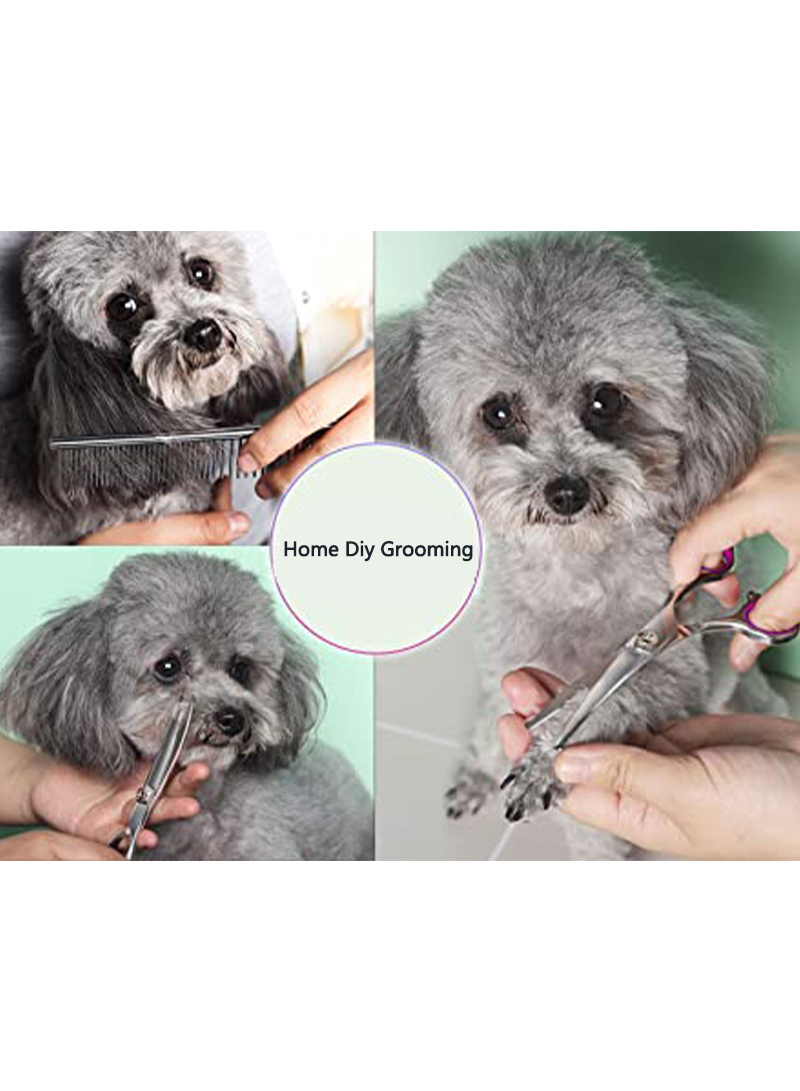 Pet Grooming Scissors Set Pet Cleaning Beauty Tool For Dogs and Cats